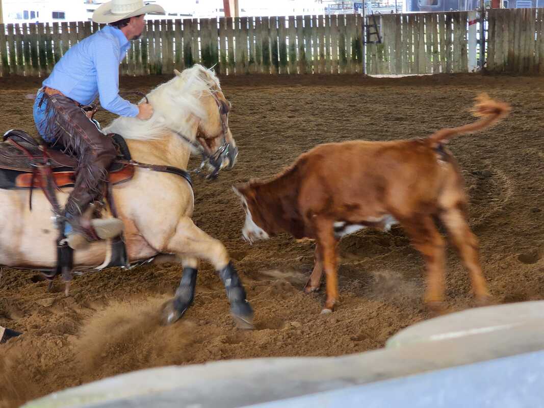 palpites campeonato alemão hoje,palpites campeonato baiano,palpites  campeonato belga